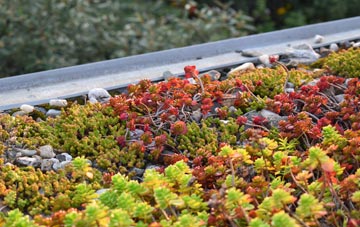 the cost of Bradenstoke green roof installation