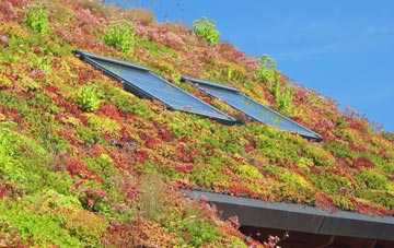 Bradenstoke living roof systems